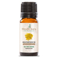 Helichrysum