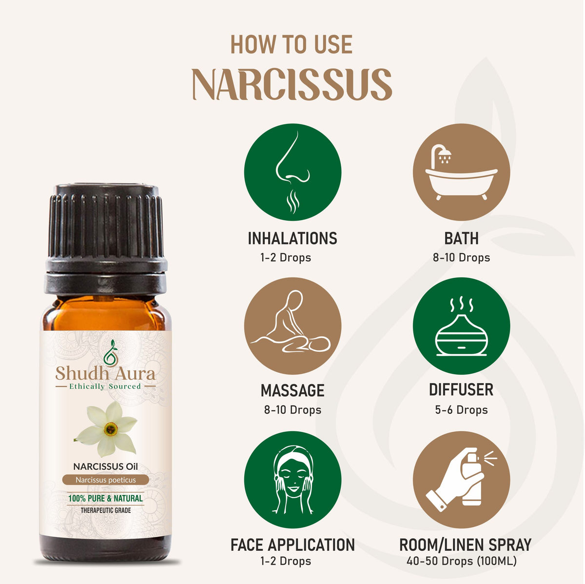 Narcissus
