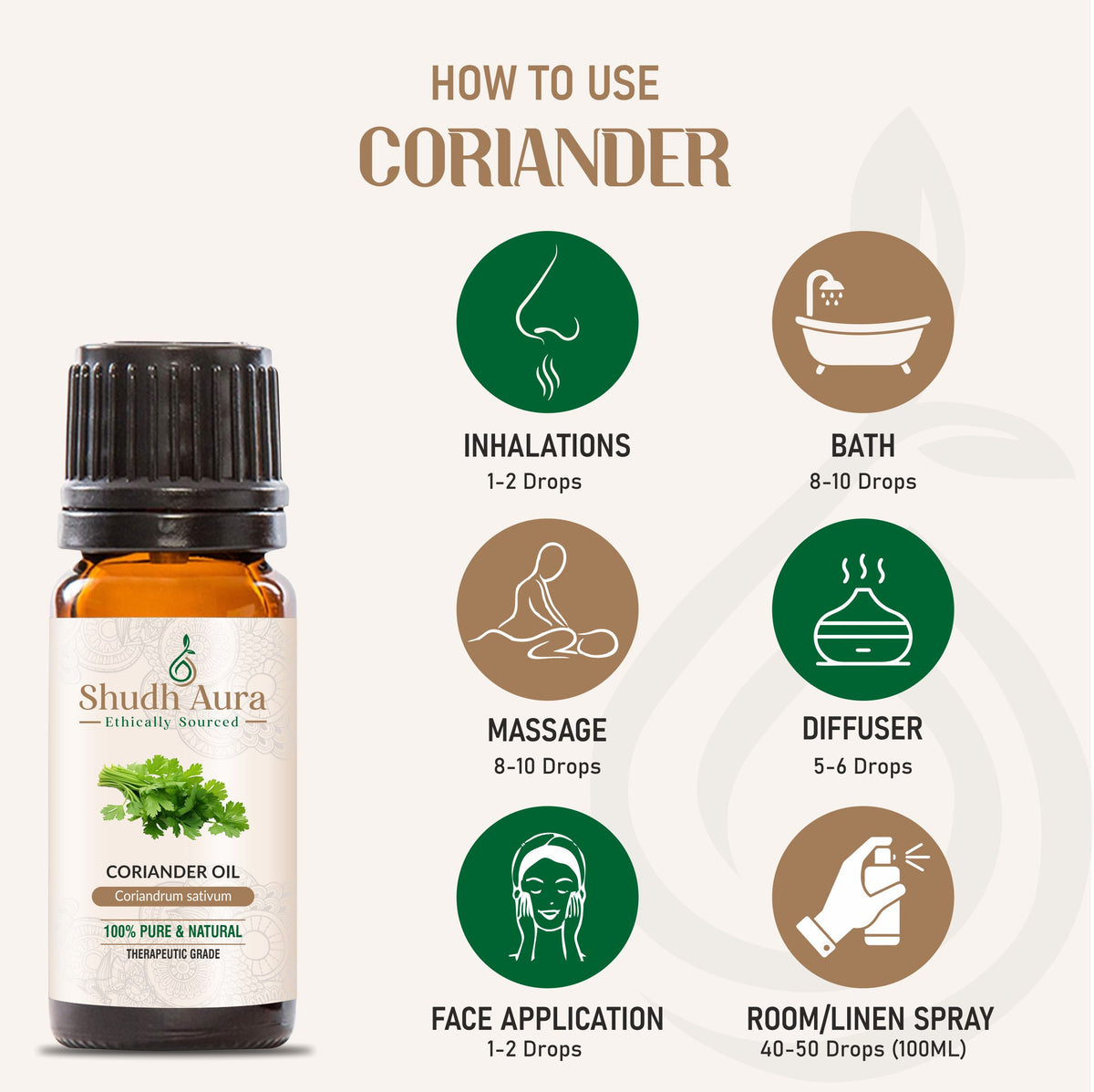 Coriander