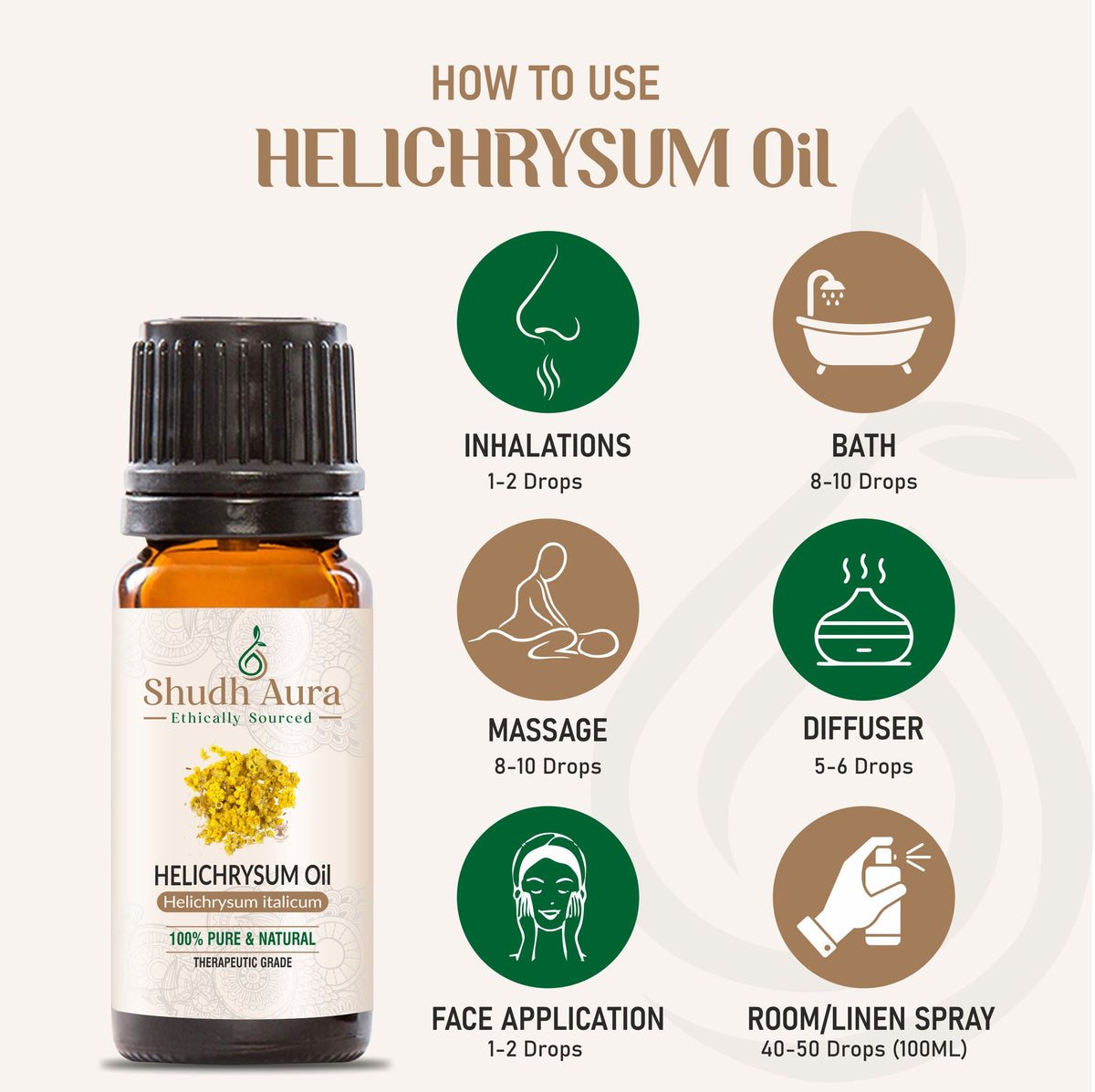 Helichrysum