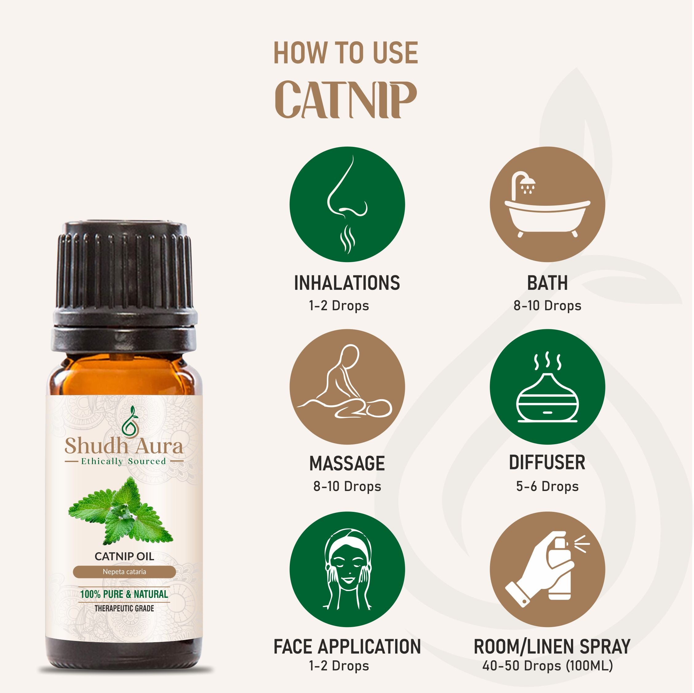 Catnip