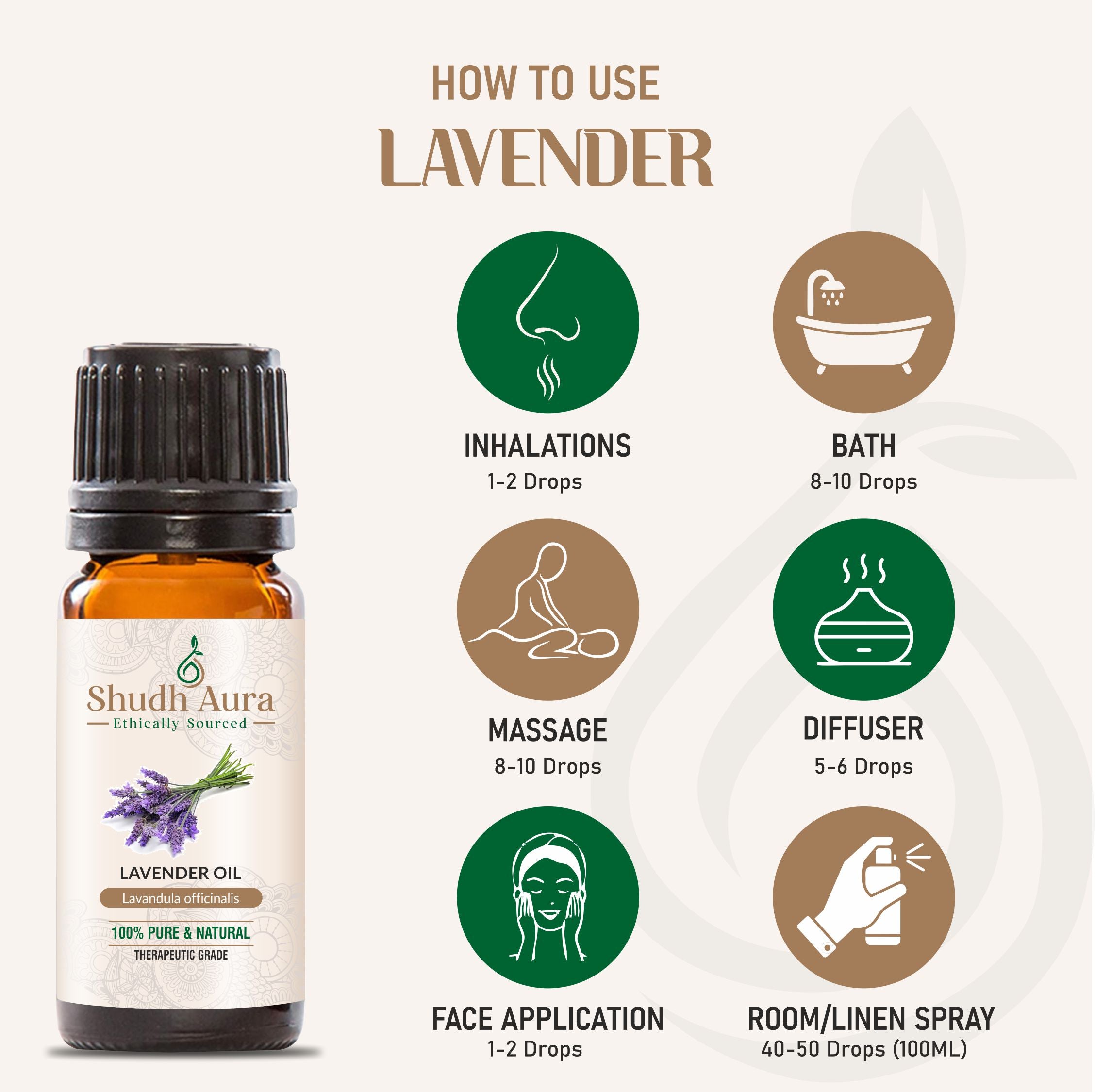 Kashmir Sweet Lavender