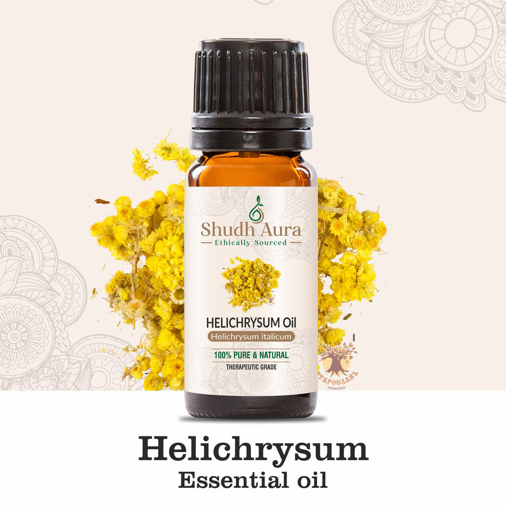 Helichrysum