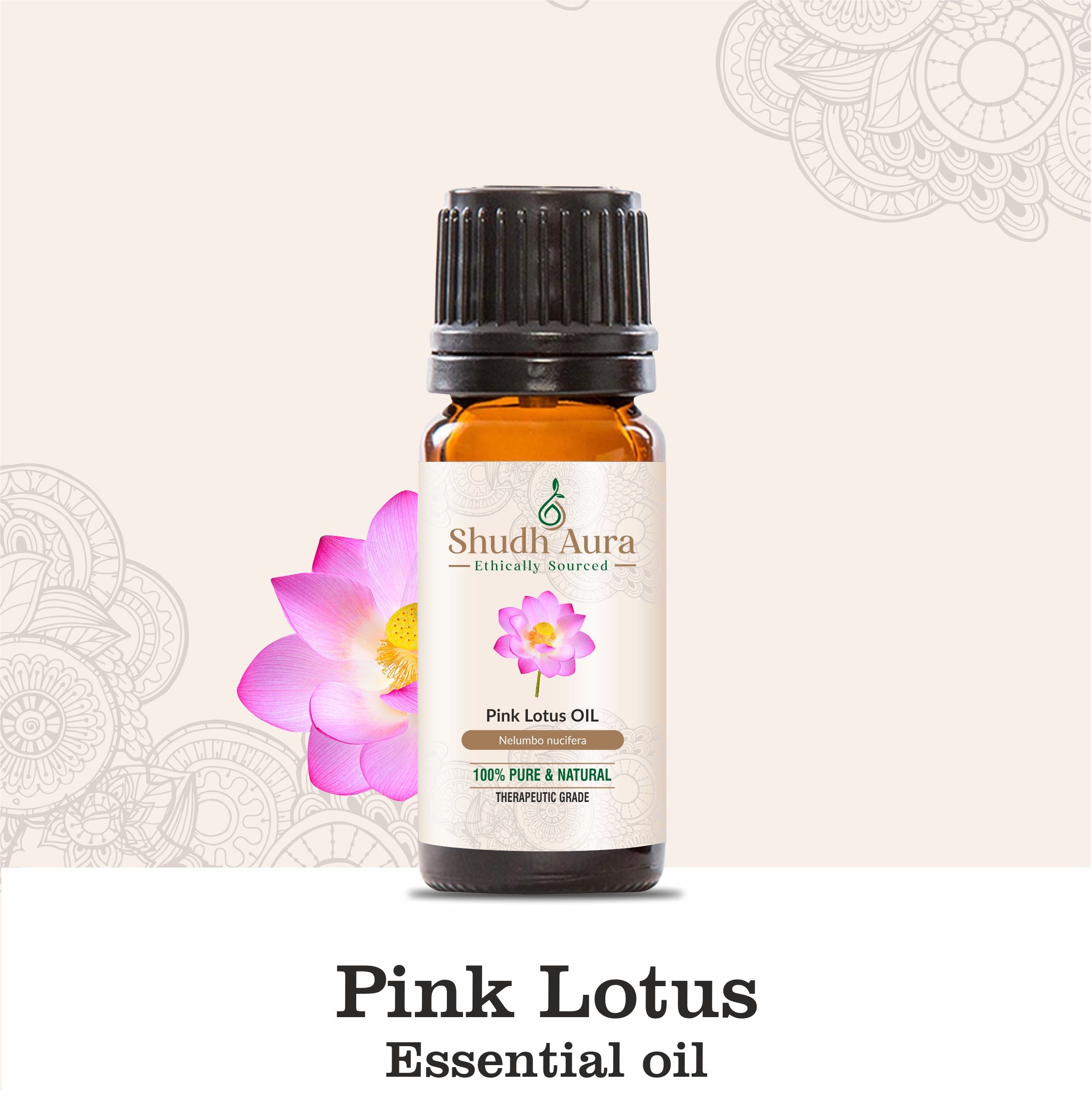 Pink Lotus