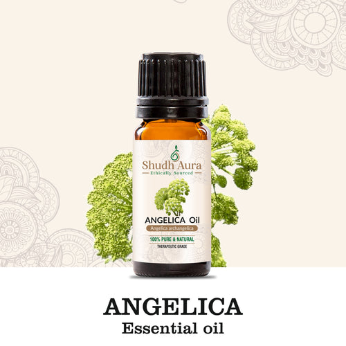 Angelica