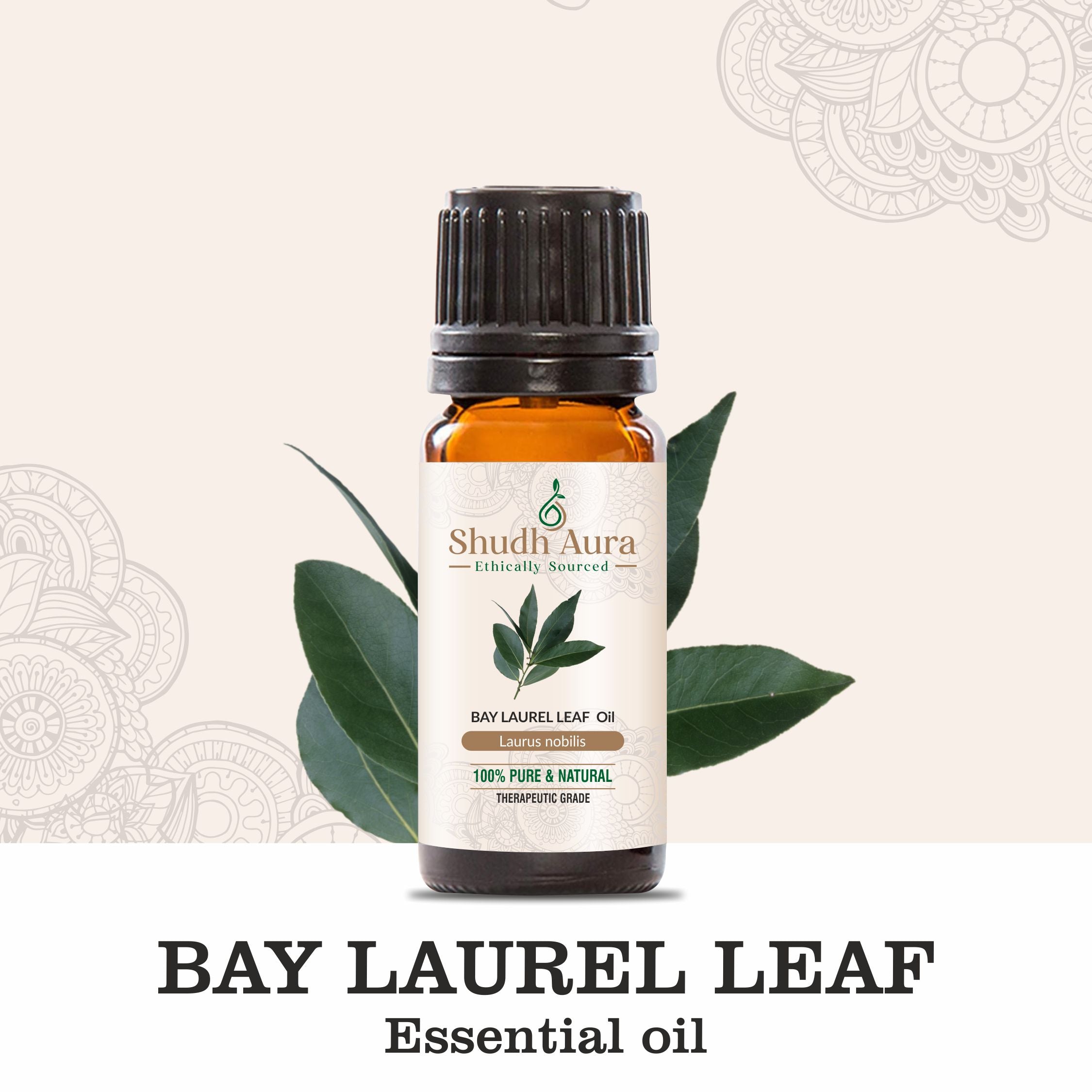 Bay Laurel Leaf