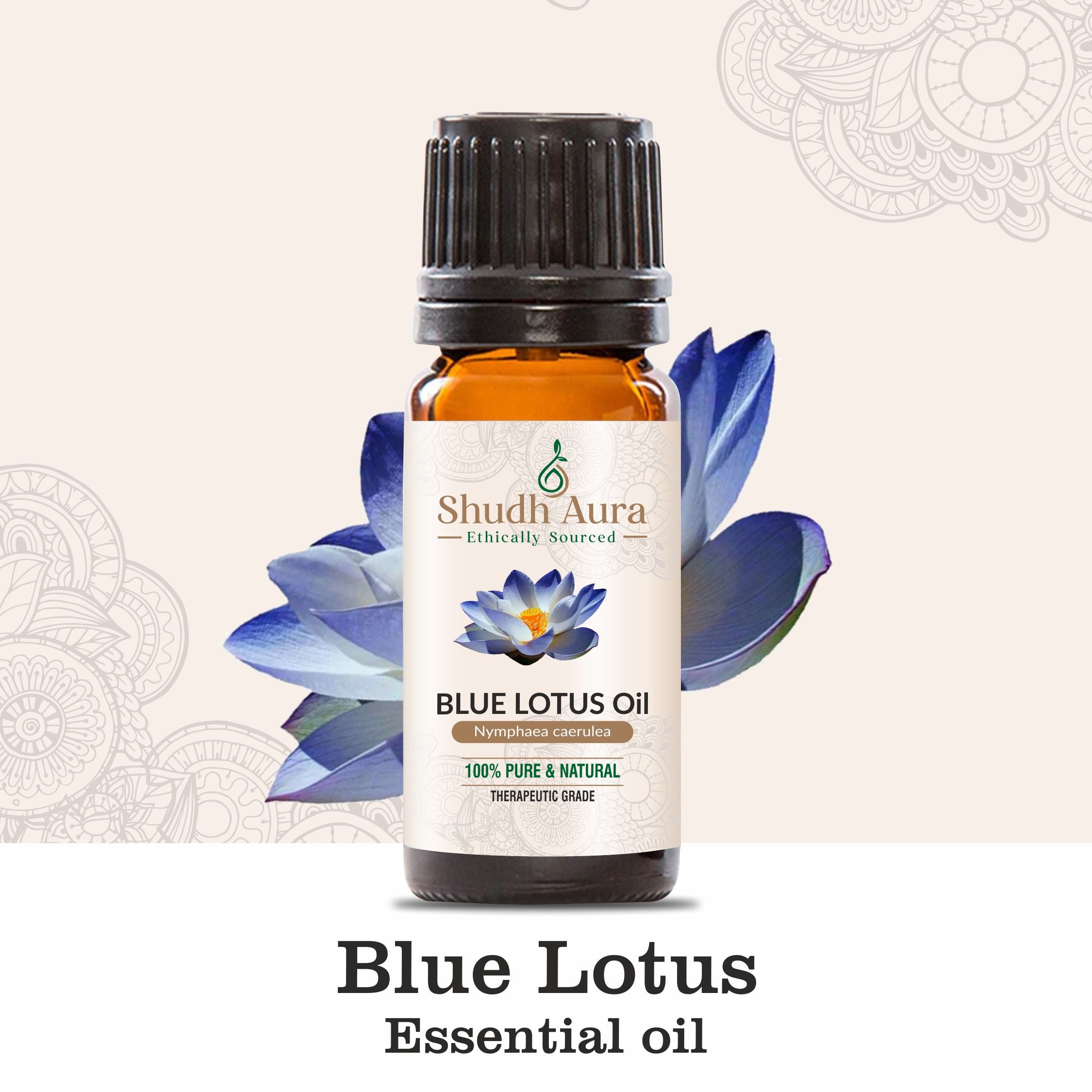 Blue Lotus