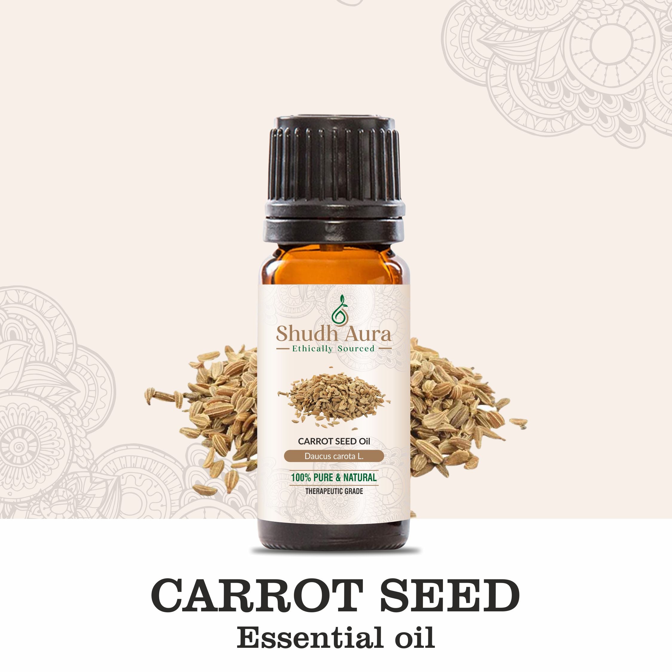 Carrot Seed