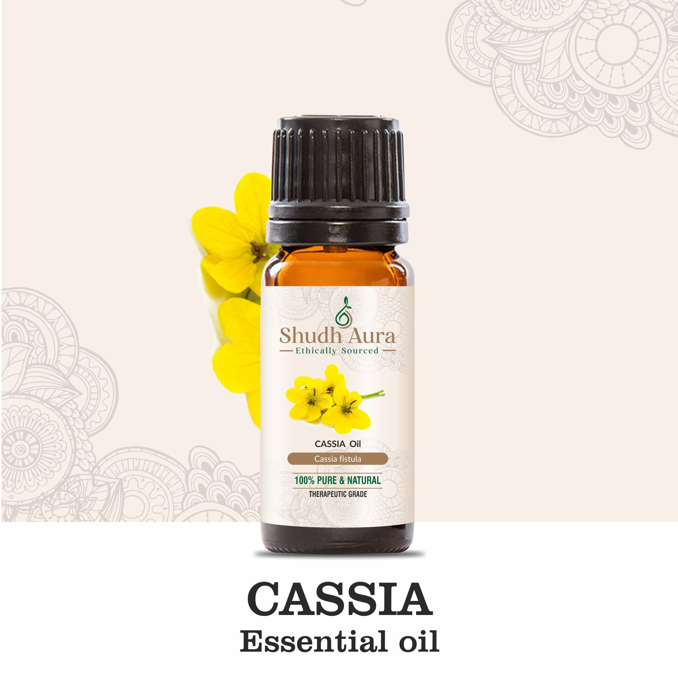 Cassia