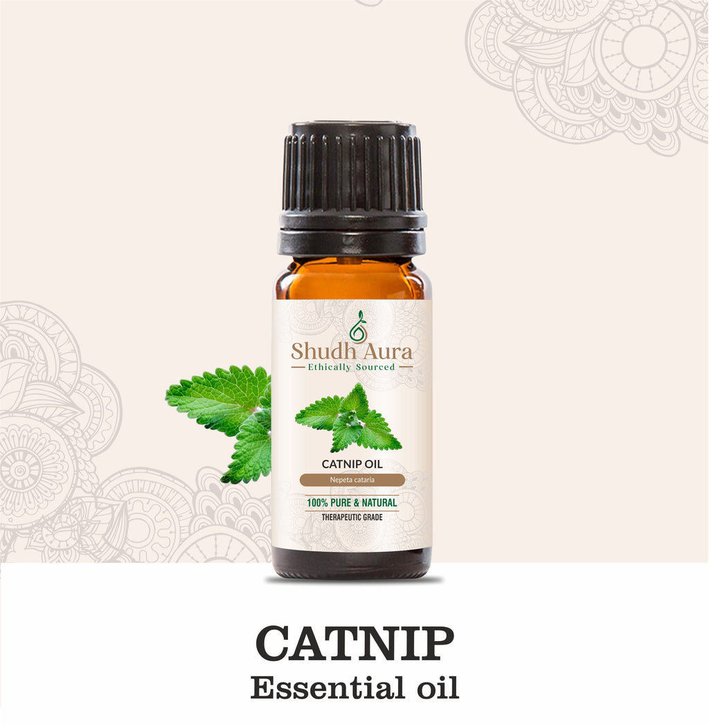 Catnip