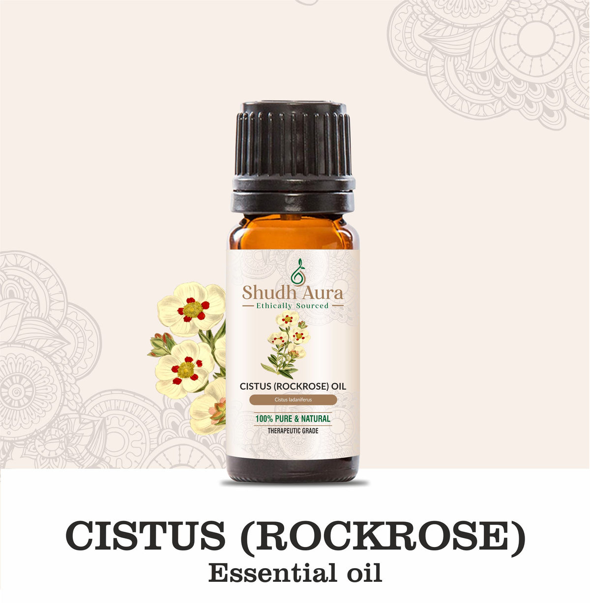 Cistus (Rock Rose)