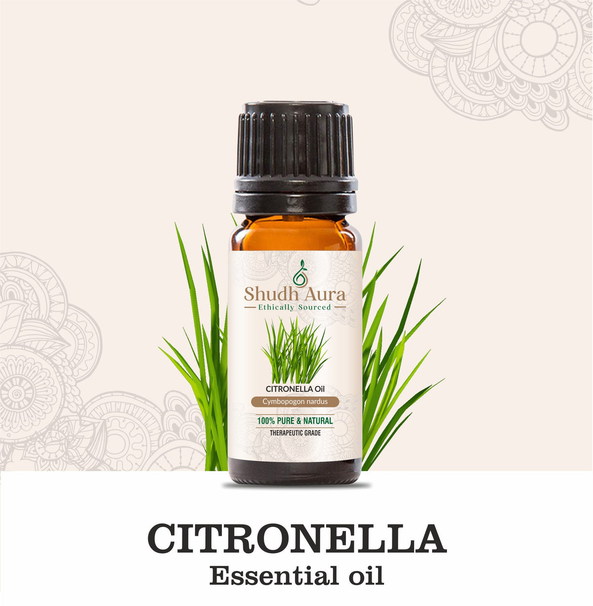 Citronella