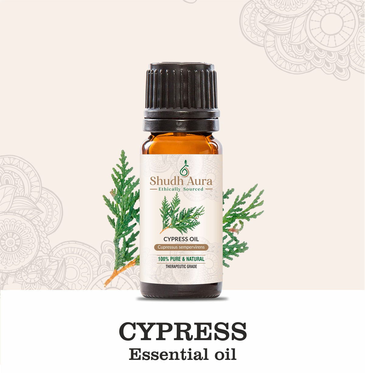 Cypress