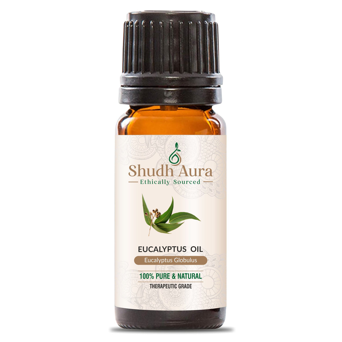 Eucalyptus