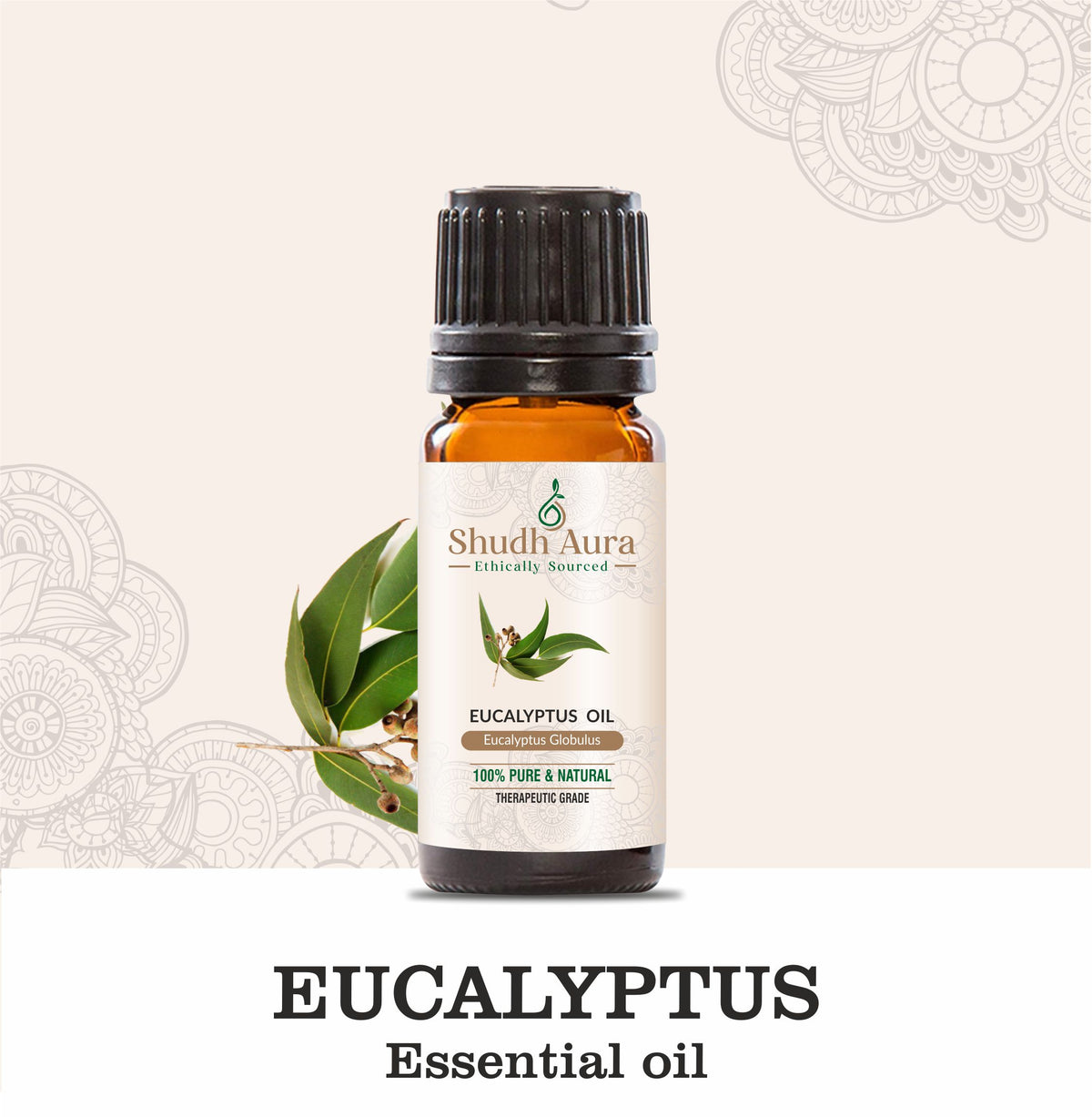 Eucalyptus