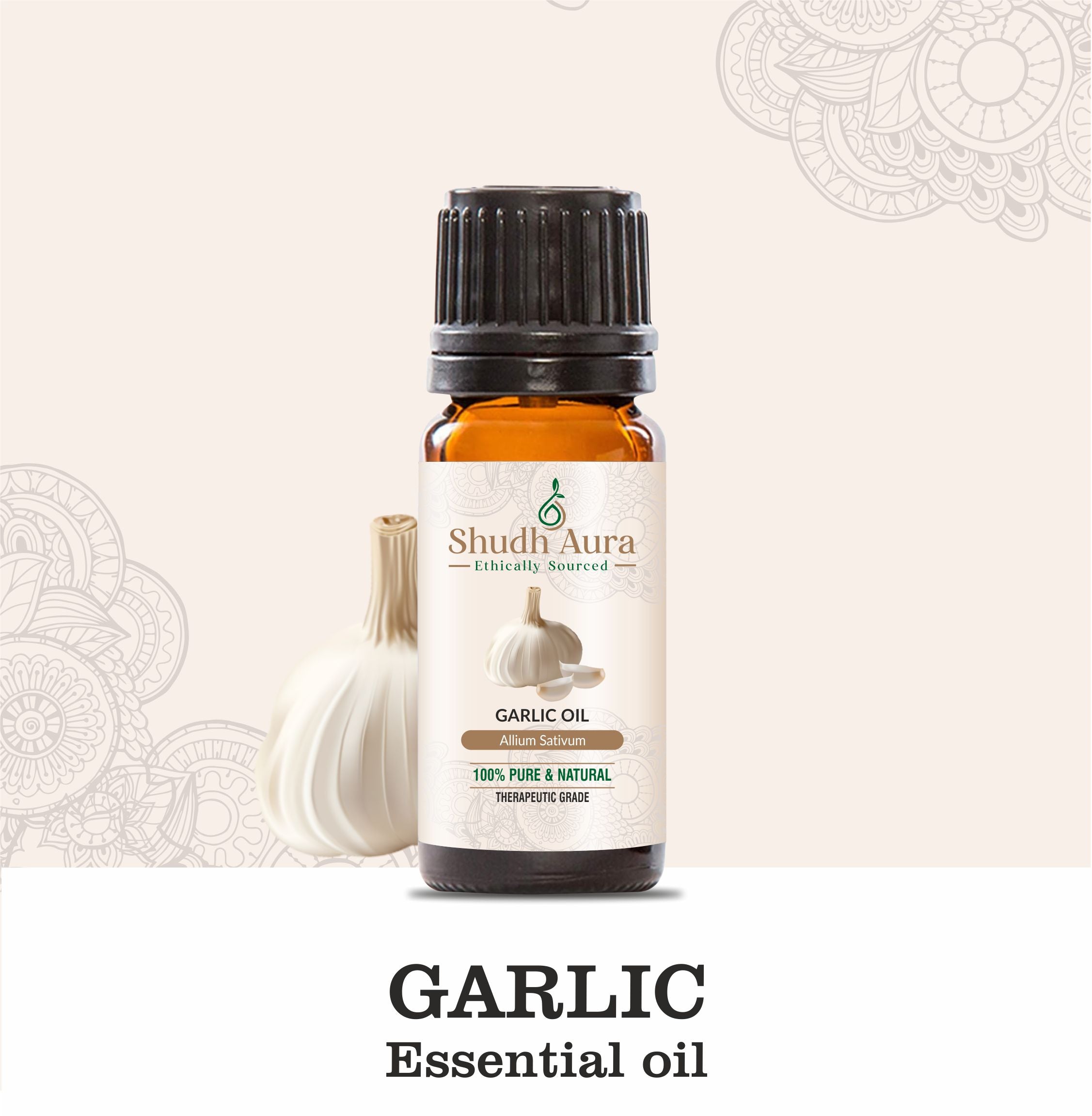 Garlic