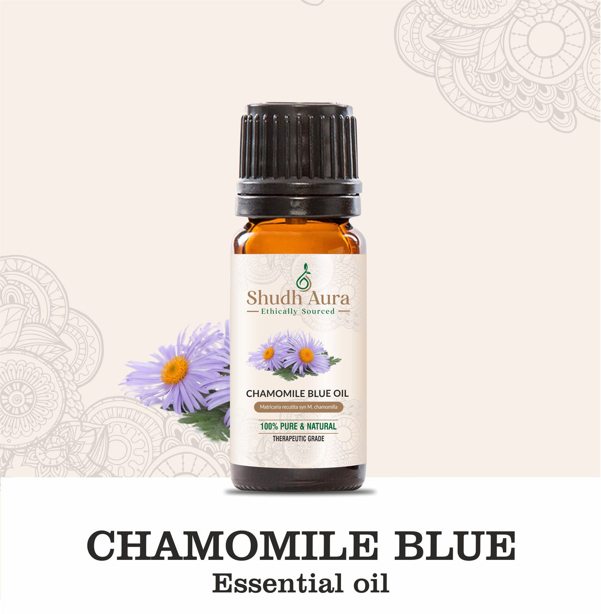 German Blue Chamomile