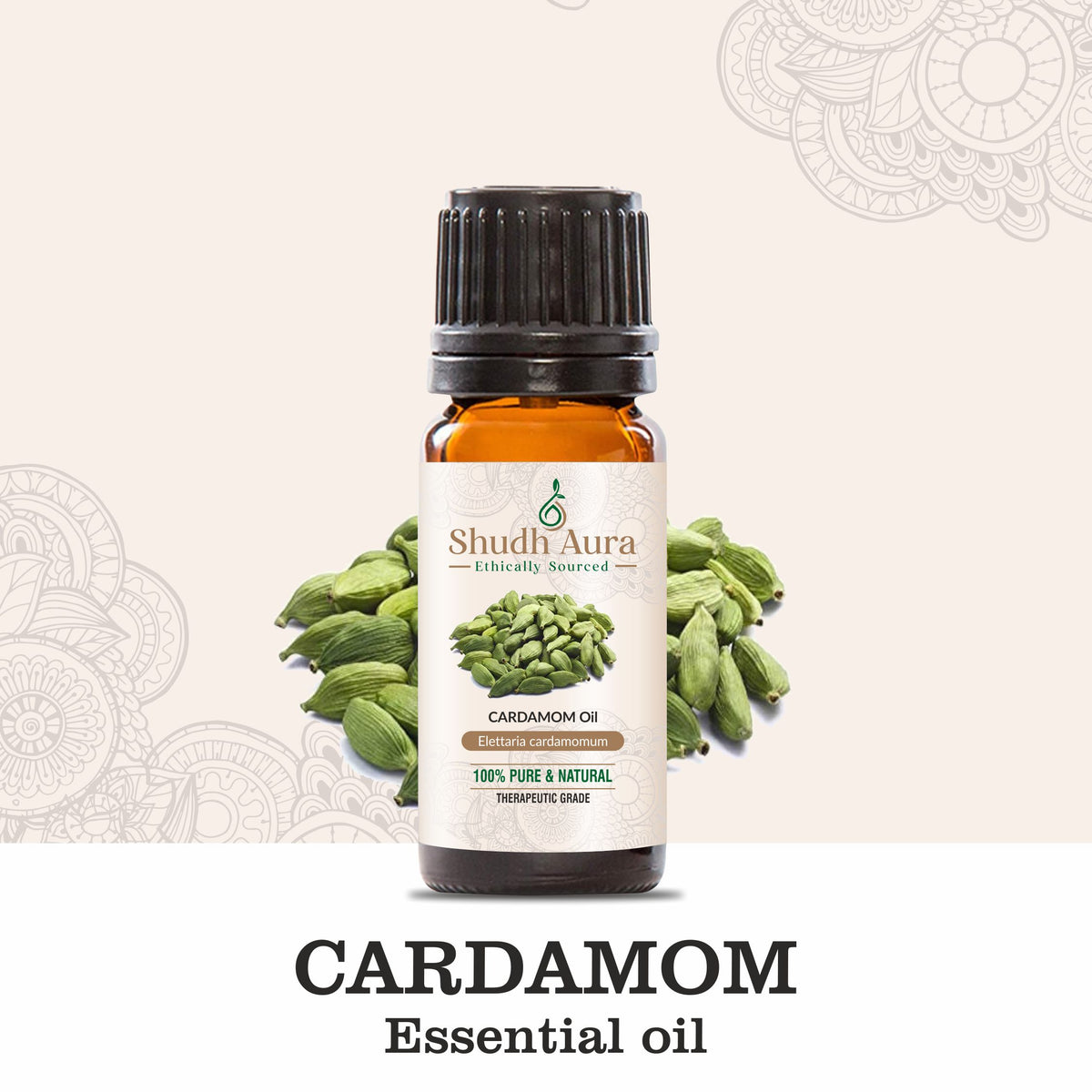 Cardamom