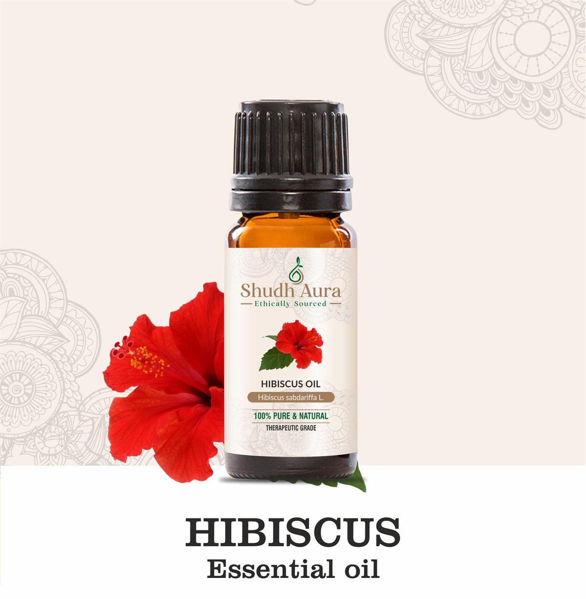 Hibiscus