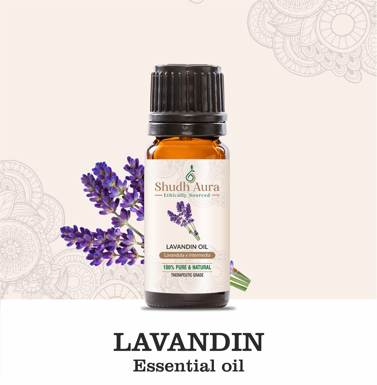 Lavandin