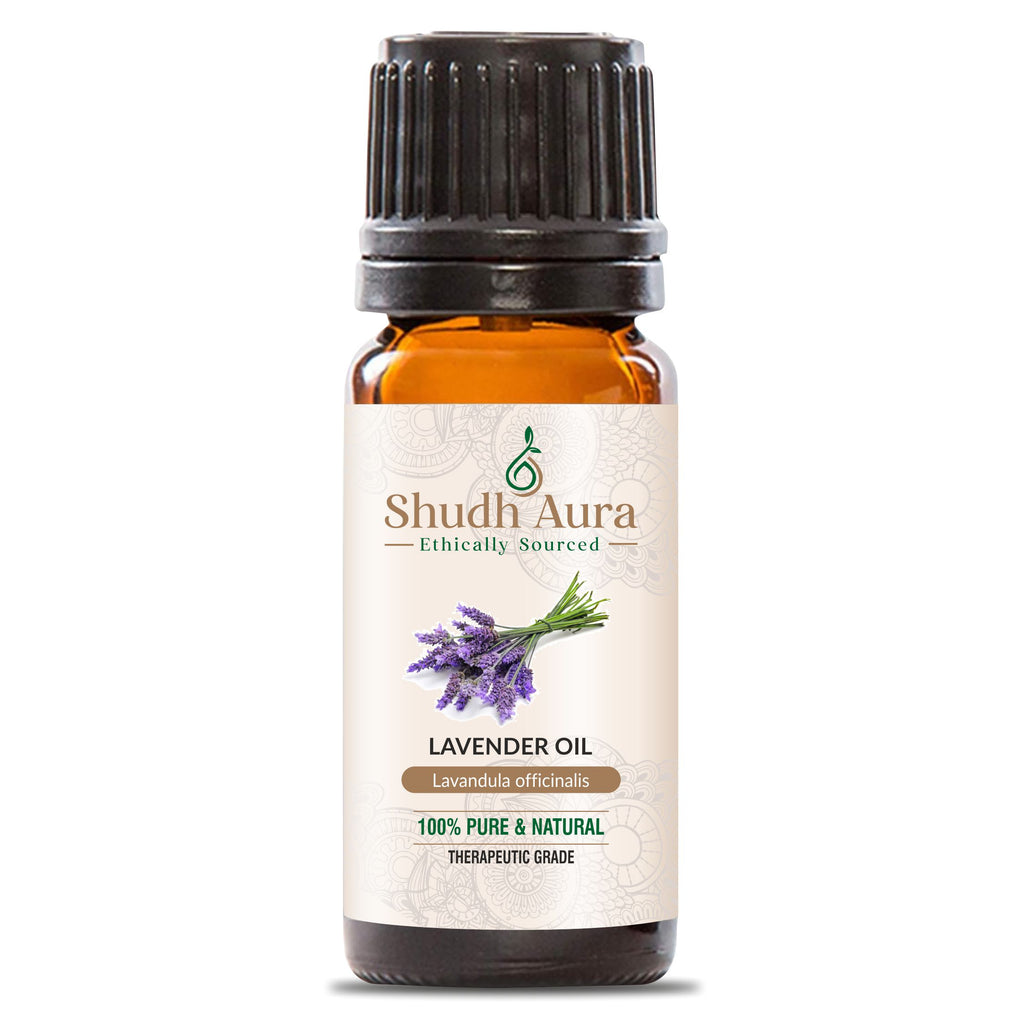 Kashmir Sweet Lavender
