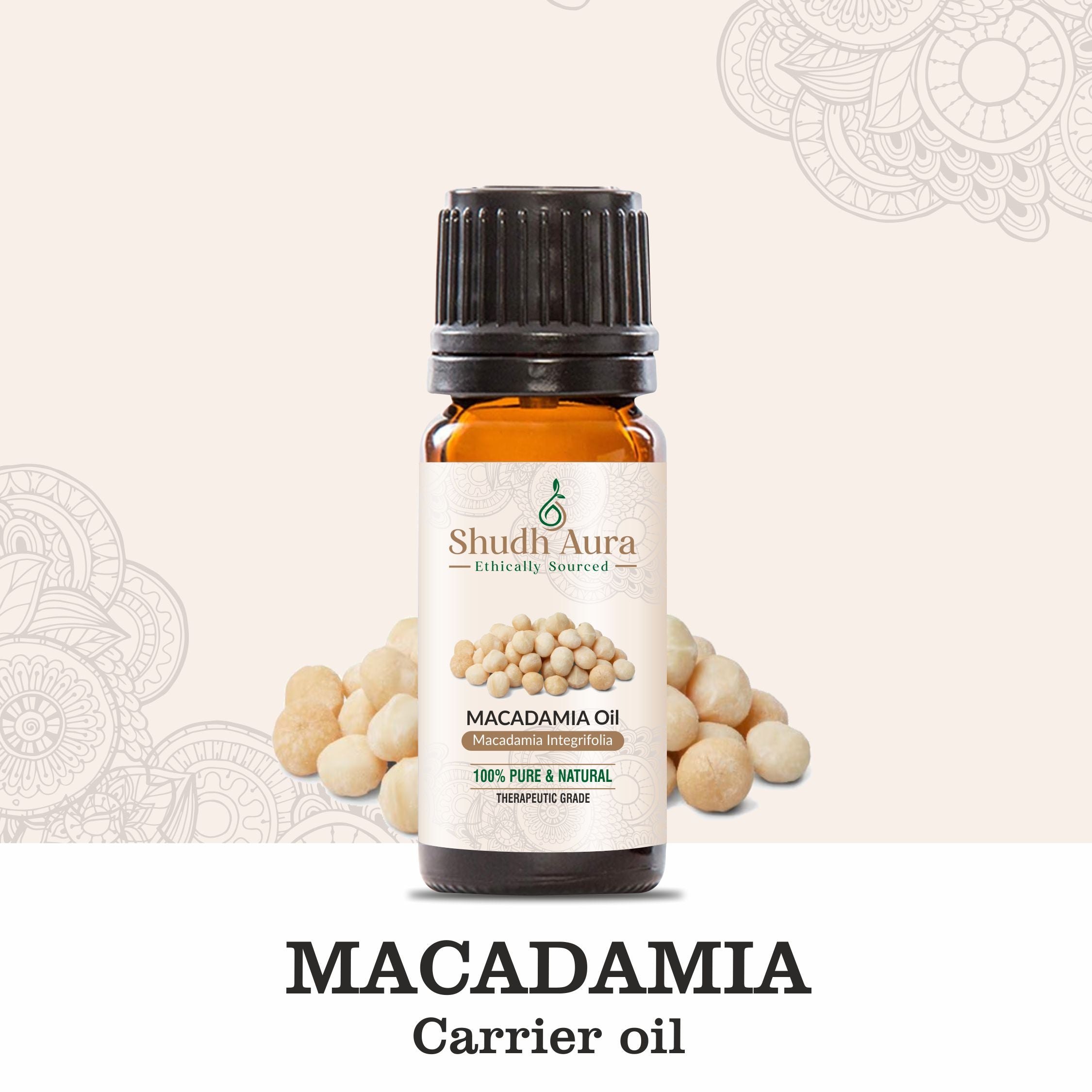 Macadamia Nut