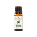 Melissa (Lemon Balm)