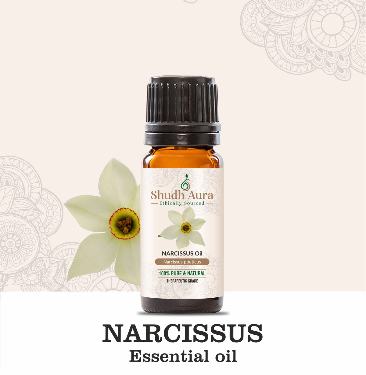 Narcissus