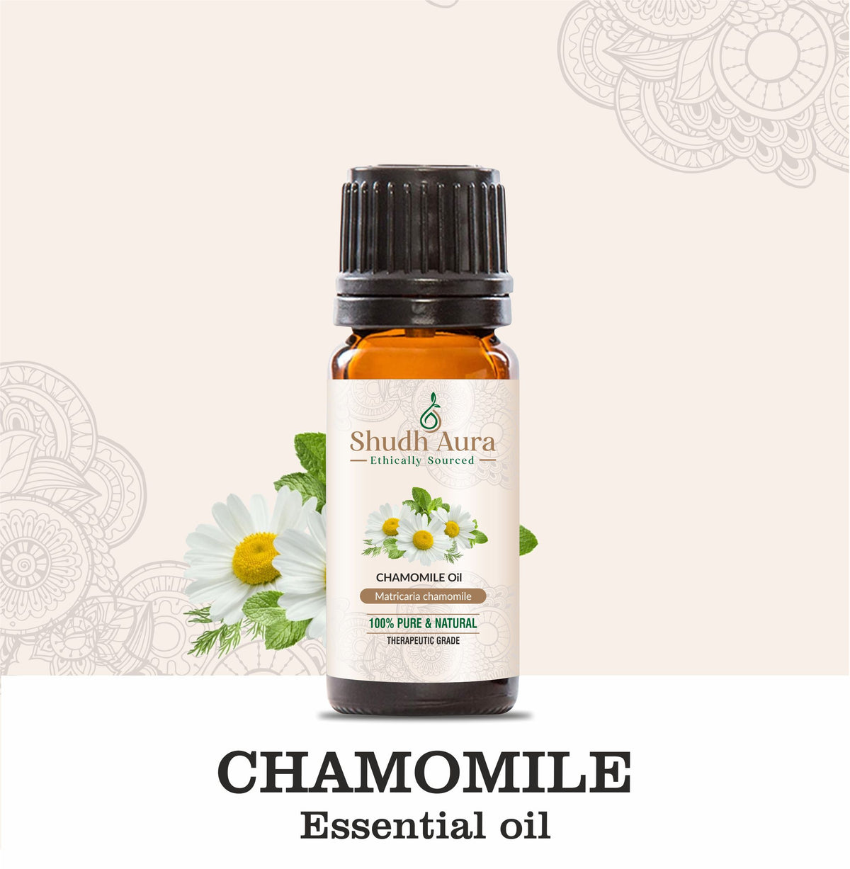 Chamomile