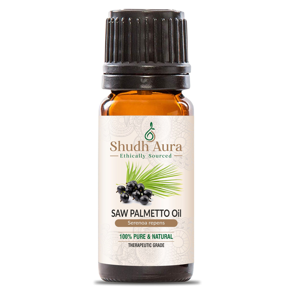 Saw Palmetto