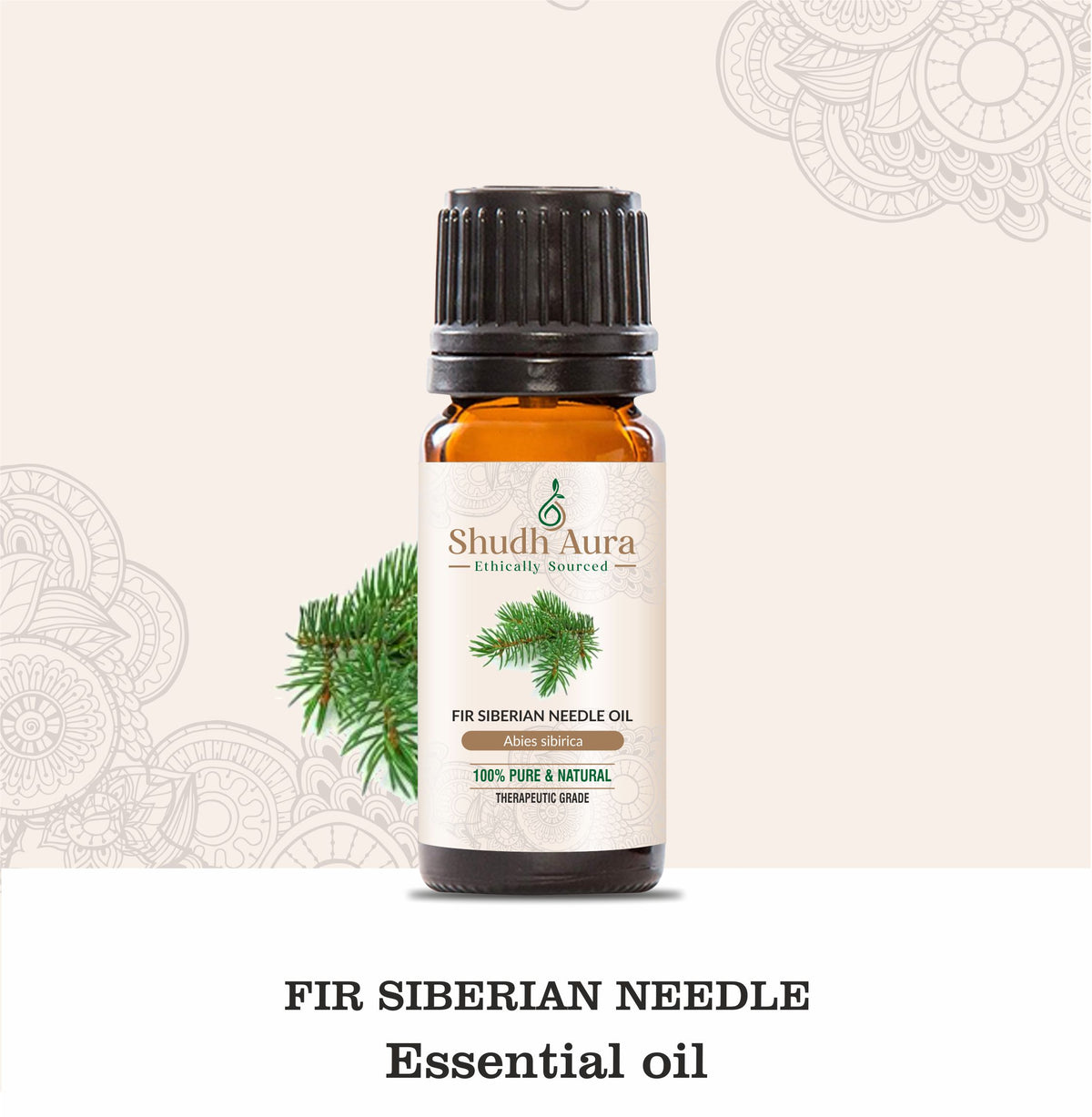 Siberian Fir Needle