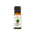 Vetiver
