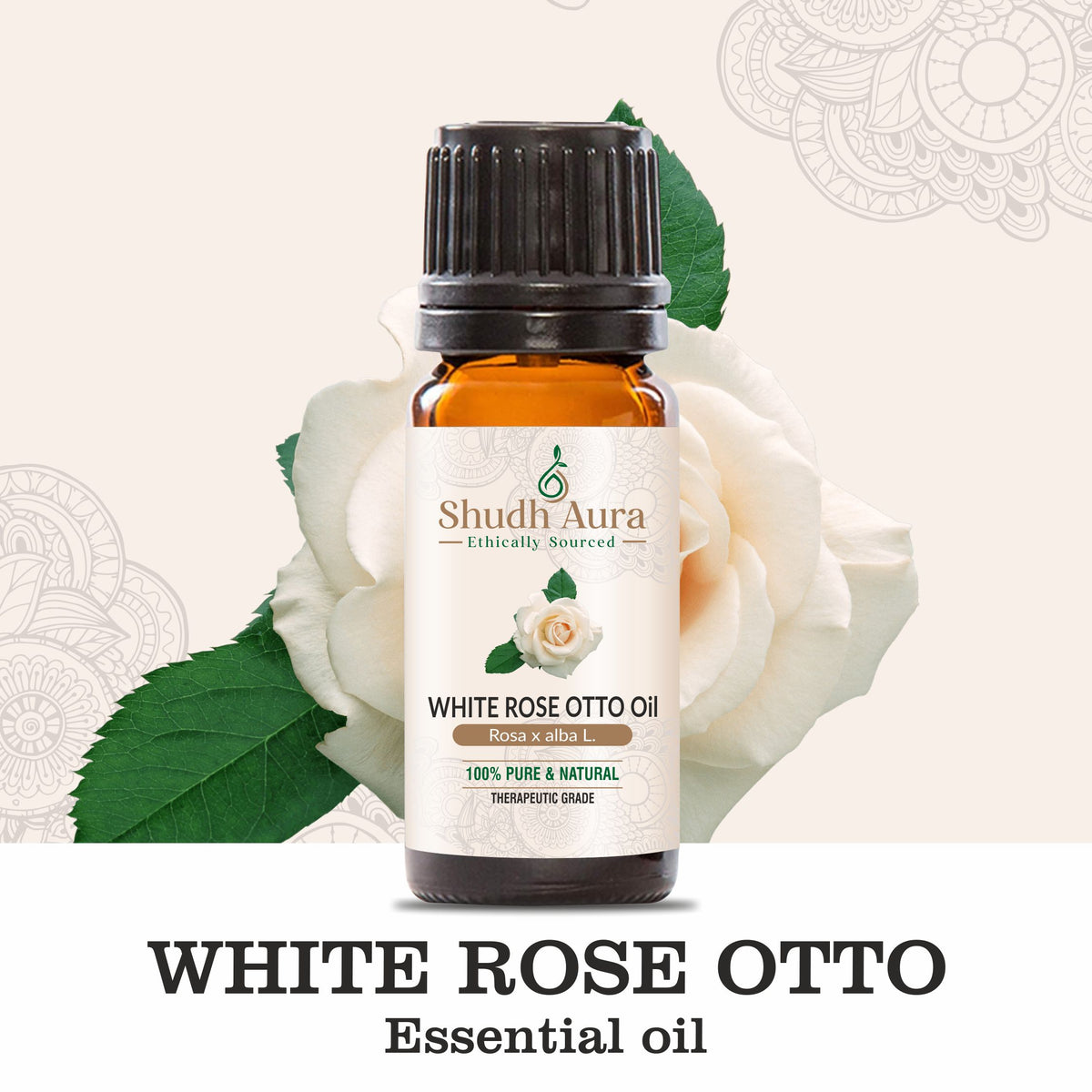 White Rose Otto