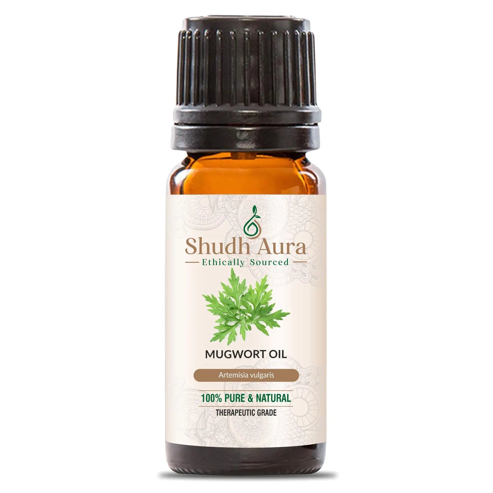 Mugwort
