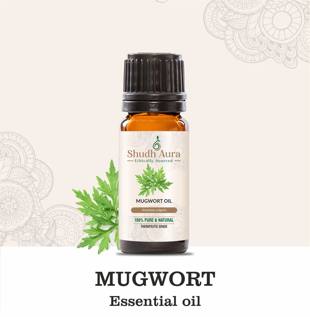 Mugwort