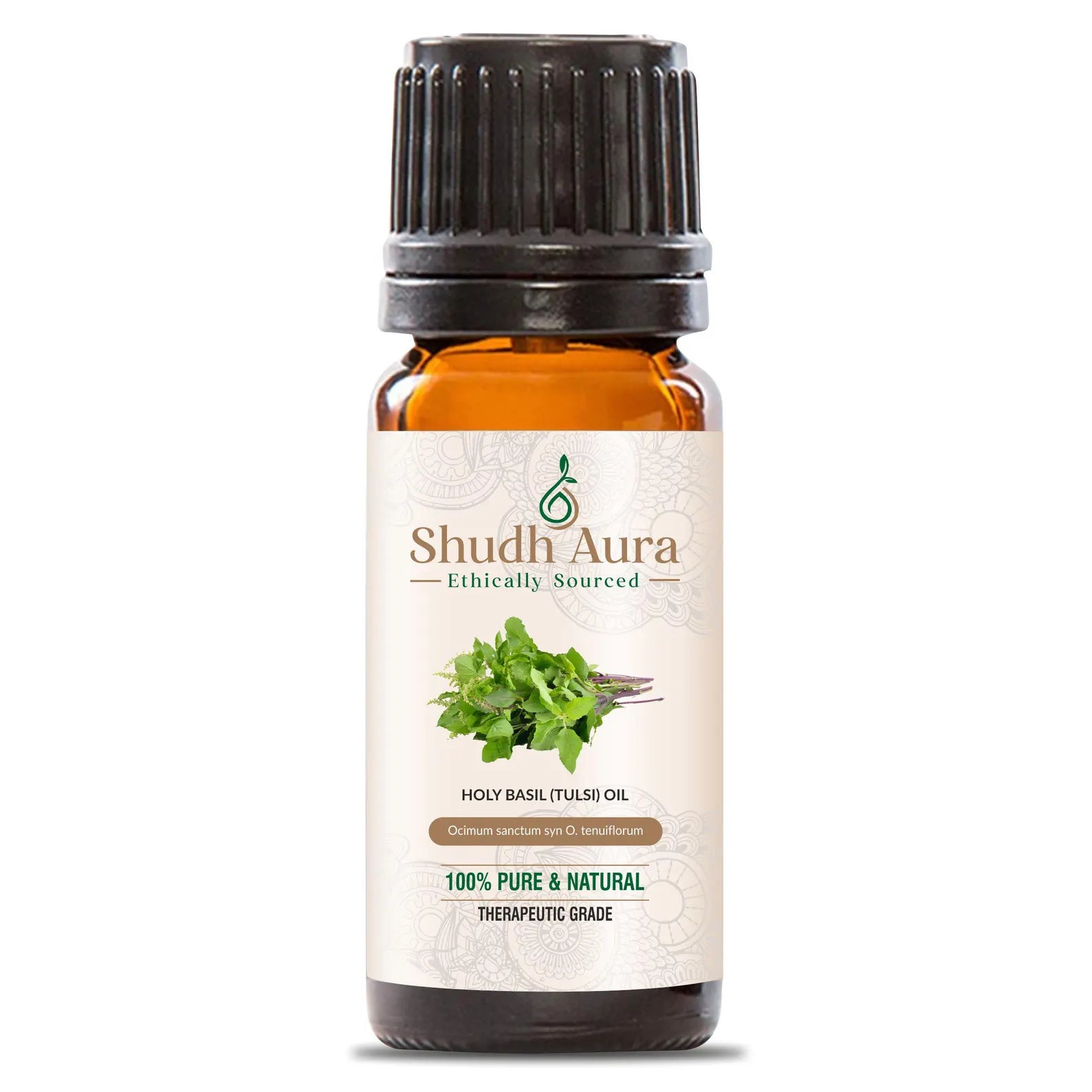 Holy Basil (Tulsi)