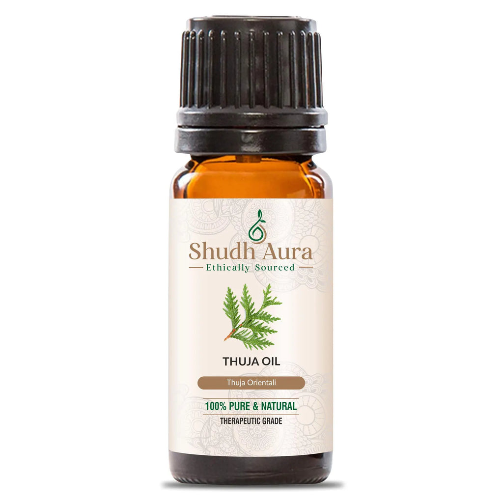 Cedar Leaf (Thuja)
