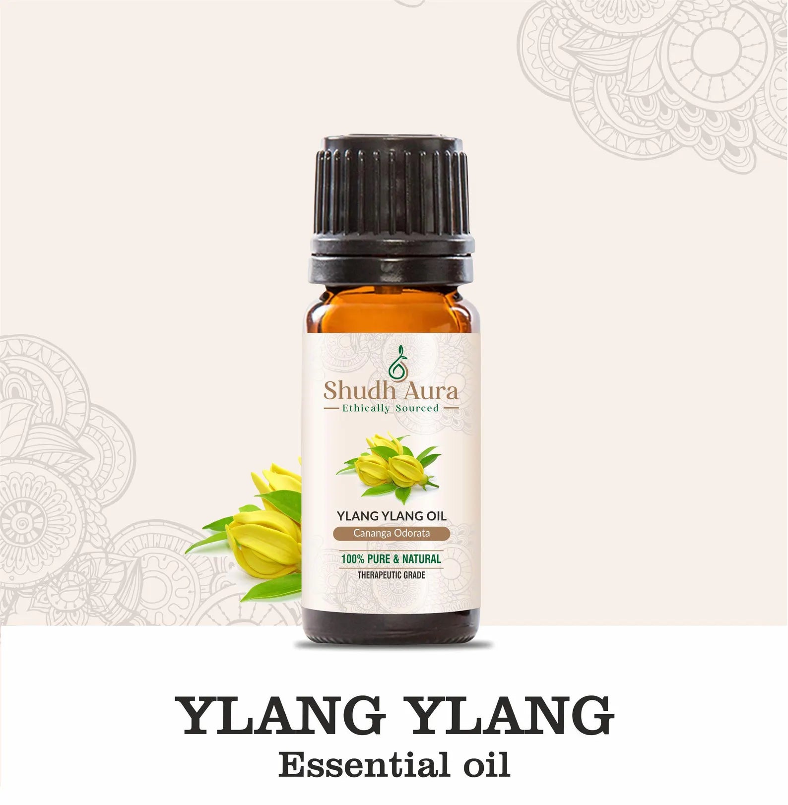 Ylang Ylang