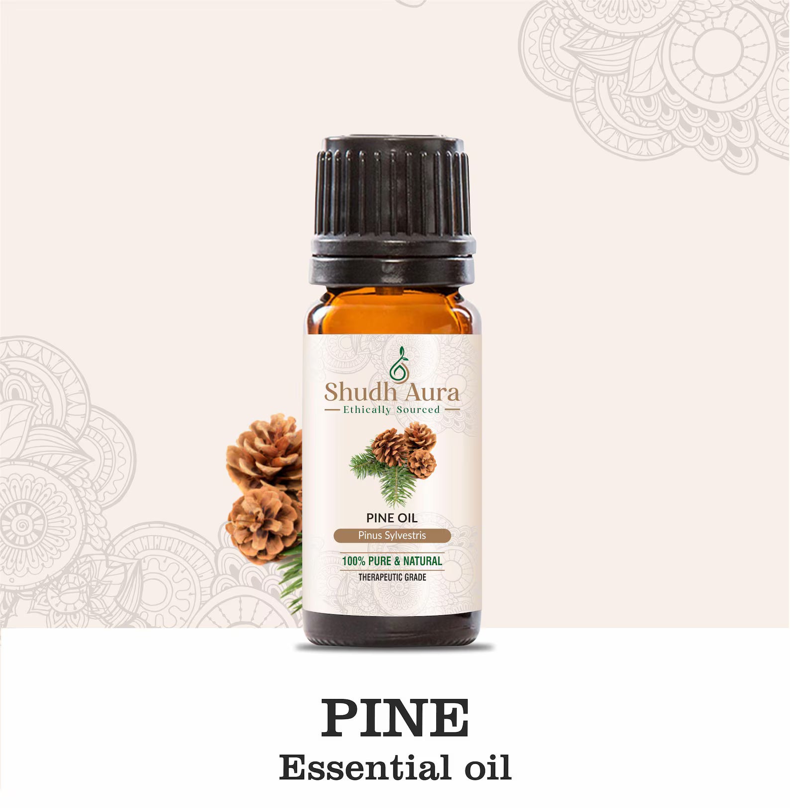 Scotch Pine